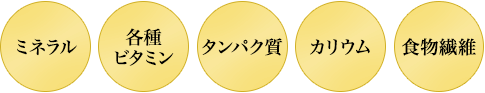 高麗人参は他にも豊富な栄養素を含んでいます