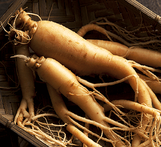 有用成分ジンセノサイド（人参サポニン）の働き