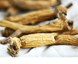 錦山産「6年根紅参」は高麗人参の最高グレード