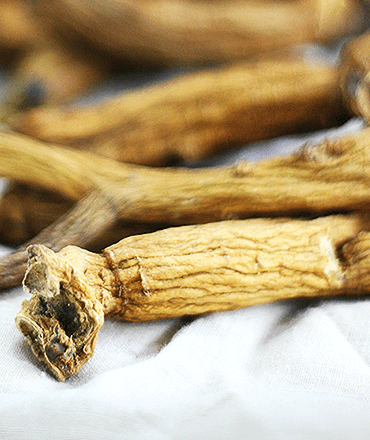 錦山産「6年根紅参」は高麗人参の最高グレード